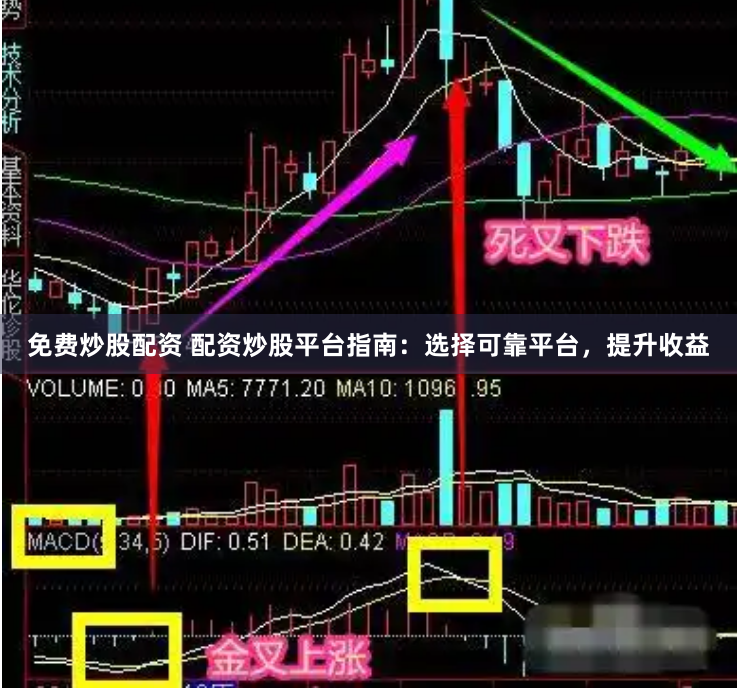 免费炒股配资 配资炒股平台指南：选择可靠平台，提升收益
